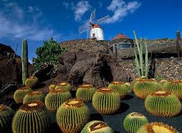 Lanzarote Lanzarote Kanarische Inseln Insel