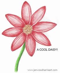 How To Draw A Daisy Step By Step Flower Drawing Tutorials Easy Flower Drawings Flower Drawing