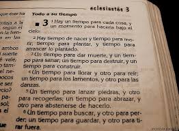 Pin De Adriana De Avila En Filosofando Biblicos Palabra De Vida Sentido Del Humor