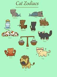 Cat Zodiacs I M Virgo Zodiac Zodiac Signs Signs