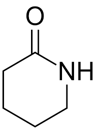 Image result for Dichilus reflexus