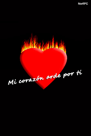 Resultado de imagen para fondos