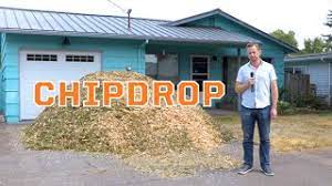 Today i'm going to show you how to make a chip drop game. Free Wood Chips From Chipdrop