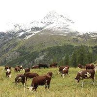 erasmus+ - le News di professione Architetto