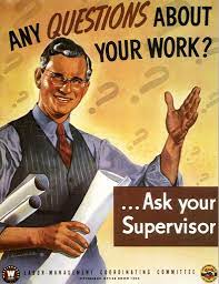What you understand about the project Supervisor Wikipedia