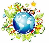 A questão da sustentabilidade no currículo da Educação Básica