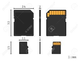 memory sd card and micro sd card diagram ratio scale vector