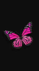 Background Black And Pink Roses Wallpaper Pin By Gralyne Watkins On Schmetterling Butterfly Wallpaper Iphone Pink Wallpaper Iphone Purple Butterfly Wallpaper
