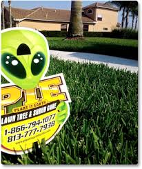 Brandon lawn care, mowing services, spring clean up, aeration, landscaping, lawn fertilizer, snow clearing. Lawn Care Treatment Tampa Weed Pest Control Orlando Sarasota