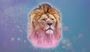 Both signs require dedication and support, and present them to each other. What Leo Season 2020 Has In Store For Us Allure