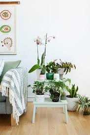 15 Ikea Bedroom Hacks To Try This Season Curbly Turn A Step Stool Into A Plant Stand Ikea Bedroom Bedroom Hacks Ikea Bekvam