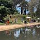 Seymour Fishing Festival 2025 - Kids Fishing Clinic event image