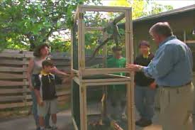 See more ideas about chameleon cage, chameleon, chameleon enclosure. How To Build An Iguana Cage Ron Hazelton