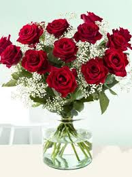 Absolut frische rosen in bester qualität. 15 Rote Rosen Mit Schleierkraut Surprose De