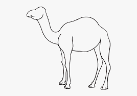 You can never be a camel, but you can learn how to draw them. Camel Clipart Simple Draw Camel Hd Png Download Kindpng