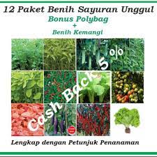 Jual benih eceran seribuan sayuran daun petanirumahan bisa cod bayar ditempat. Jual Bibit Tanaman Buah Sayur Di Manado Home Facebook