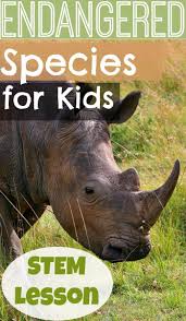 How To Protect Endangered Species For Kids The Work Of Conservation In 2020 Endangered Species Activities Endangered Animals Facts Endangered Animals Activities
