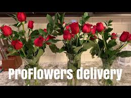It relies on an extensive agent network, rather than a web interface, and is a good option for people who want the personal touch in their insurance purchase. Usaa Proflowers Discount Code 09 2021