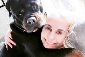 Innlegget mitt der jeg viser hvordan det lages falske profiler for å henge  ut familien til Luk, påstås det nå av ELIN VOLLEN at vi sier Ellen har  laget falsk profil. LØGN