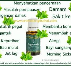 Minyak pepermin bermanfaat untuk mengatasi masalah pencernaan. Endah P On Twitter Manfaat Peppermint Youngliving Essentialoils Contact 6285723988333 Http T Co Hdzqlgqbcs