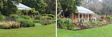 All plants are divided on annual, biannual and perennial. Perennial Garden Design In Winter Ian Barker Gardens