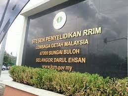 Institute of artificial intelligence xiamen university inaugurated. Research In Rubber Needs New Vigour The Star