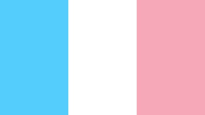 Maybe you would like to learn more about one of these? Transgender Pride Flag Colors Color Scheme Blue Schemecolor Com