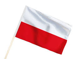 Bezpłatne również do użytku komercyjnego bez konieczności podawania autora bez praw autorskich. Polska Flaga Narodowa 150x90 Flagi Polski Na Tunel 7584172123 Allegro Pl