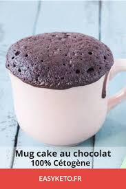 Mug Cake Keto Au Chocolat Recettes Pauvres En Glucides Aliments Cetogenes Recette Mugcake