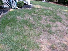 Riley place a nice neighborhood with great amenities including 2 swimming pools, a clubhouse, playground, lawn maintenance and garbage pick up!all this in an unbeatable location! Bennett Landscape Inc 1728 War Hill Park Rd Dawsonville Ga 30534 Yp Com