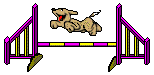 Résultat de recherche d'images pour "GIF AGILITY"