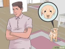 We did not find results for: 3 Ways To Get A Puppy To Stop Crying Wikihow Pet