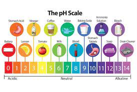 We did not find results for: What Causes Ph Imbalance 5 Ways To Achieve Ph Balance Stemjar