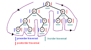 The amount that something is deep while height is the distance from the base of something to the top. Binary Trees