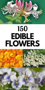 Mar 30, 2020 · still, if you want to give them a try, you can eat them raw, tossed into salads or smoothies, or even made into a scrumptious jam. Flowers You Can Eat 150 Edible Flowers To Try This Season