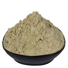 Image result for Pedalium murex