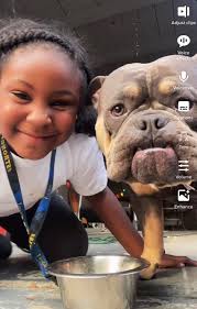 South Sacramento Lost/Found Pets