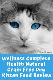 If you prefer dry cat food for your furry friend, you should only choose the best of the best. Wellness Complete Health Natural Grain Free Dry Kitten Food Review Oliveknows Kitten Food Natural Health Cat Food Reviews