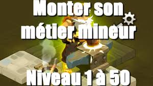 Dofus Xp Et Rentabiliser Son Metier Mineur 1 A 50 Ou Xp Et Quoi Craft 2 35 Youtube