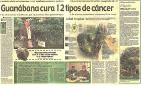 Cha De Canela De Velho Beneficios E Maleficios Pin Em Ver
