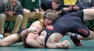Brecksville, St. Edward and Wadsworth take sectional titles at home:  Division I OHSAA sectional wrestling recap