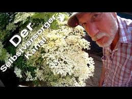 Holunderbluetensirup Selbst Herstellen Ganz Einfach Sirup Hollundersirup Kuchenschelle