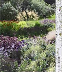 Planting A New Perspective Amazon Co Uk Piet Oudolf Noel Kingsbury Books Plants Garden Design Amazing Gardens