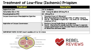 Image result for Priapism