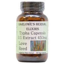 Image result for Typha capensis