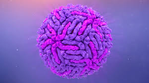 Information on west nile virus. West Nile Virus 2 Lysate The Native Antigen Company