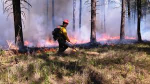 España debe aceptar que el alto paro es el precio por estar en el euro. Controlled Burn Wikipedia