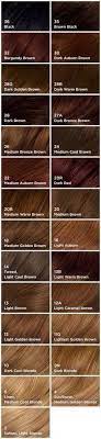 This dark golden brown haircut has a soft, natural look. Color Card Clairol Hair Clairol Hair Color Easy Hair Color