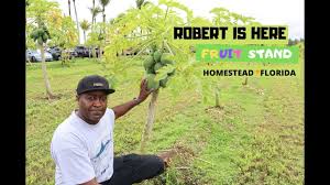 ROBERT IS HERE FRUIT STAND| HOMESTEAD, FL