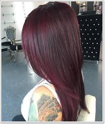 Here is how you can get the perfect unlike other hair colors, burgundy is available in wide array of tints and shades and so no matter your skin * women with dark brown or black hair should opt for burgundy highlights too. Straight Black Hair With Red Highlights Up To 72 Off Free Shipping